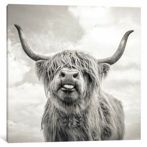 Meet your Posher, Lee